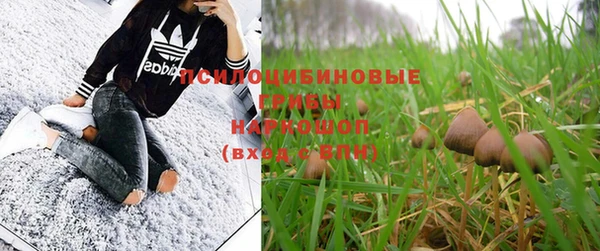 мдпв Бронницы