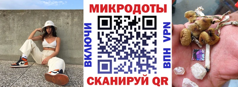 купить закладку  Дивногорск  Псилоцибиновые грибы прущие грибы 